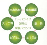 �n�[�o���C�t���i�̉h�{�o�����X