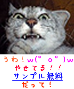 �n�[�o���C�t�����T���v��