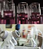 �n�[�o���C�t�E�j���[�g���V�����E�A�h�o�C�U���[�E�{�[�h